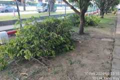 1_WhatsApp-Image-2026-02-12-at-6.59.41-PMffddfdffd