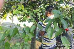 WhatsApp-Image-2026-02-12-at-6.59.36-PM