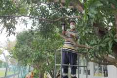 WhatsApp-Image-2026-02-12-at-6.59.41-PMeww