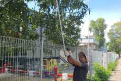 WhatsApp-Image-2026-02-12-at-6.59.45-PMyy