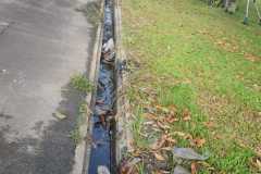 WhatsApp-Image-2026-02-24-at-6.31.41-PMss